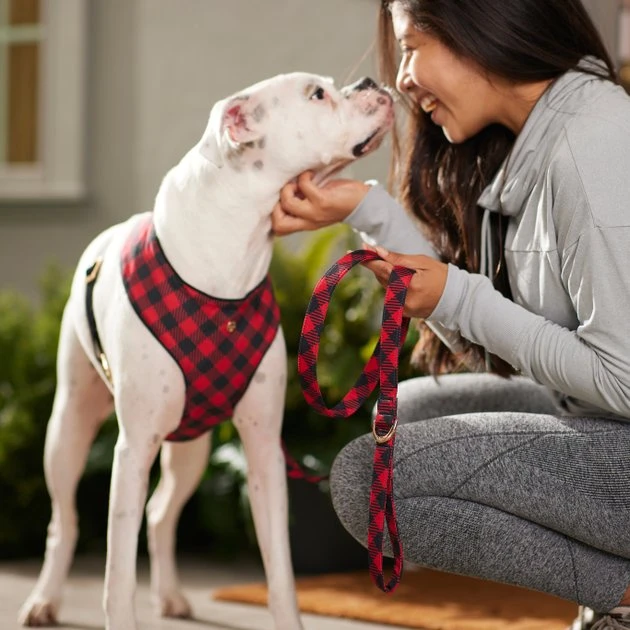Frisco Fashion Leash, Buffalo Plaid 6 Frisco Fashion Leash, Buffalo Plaid - Image 4