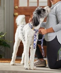 Frisco Fashion Leash, Pink Plaid 9 Frisco Fashion Leash, Pink Plaid -Frisco Sales 2024 287499 PT8. SY630 V1632316895