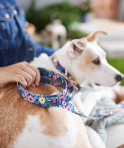 Frisco Fashion Leash, Tropical Floral -Frisco Sales 2024 287502 PT8. SY630 V1632315857