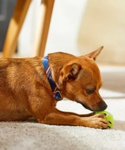 Frisco Fashion Collar, Brown Plaid -Frisco Sales 2024 287507 PT8. SY630 V1632316914