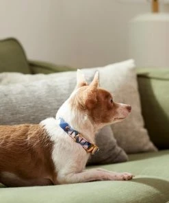 Frisco Fashion Collar, Pink Plaid -Frisco Sales 2024 287510 PT8. SY630 V1632316374