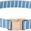 Frisco Fashion Collar, Striped -Frisco Sales 2024 287511 MAIN. SY630 V1632316934