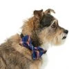 Frisco Fashion Bow, Blue Plaid, XS/SM