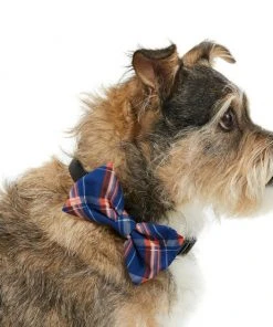 Frisco Fashion Bow, Blue Plaid, XS/SM
