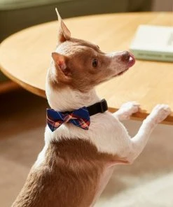 Frisco Fashion Bow, Blue Plaid, XS/SM -Frisco Sales 2024 287528 PT8. SY630 V1632316622