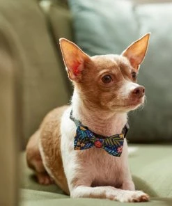 Frisco Fashion Bow, Tropical Floral 11 Frisco Fashion Bow, Tropical Floral -Frisco Sales 2024 287529 PT8. SY630 V1632315568