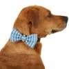 Frisco Fashion Bow, Striped