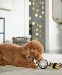 Frisco New Year's Eve Midnight Countdown Plush with Rope Squeaky Dog Toy -Frisco Sales 2024 288478 PT3. SY630 V1638289625