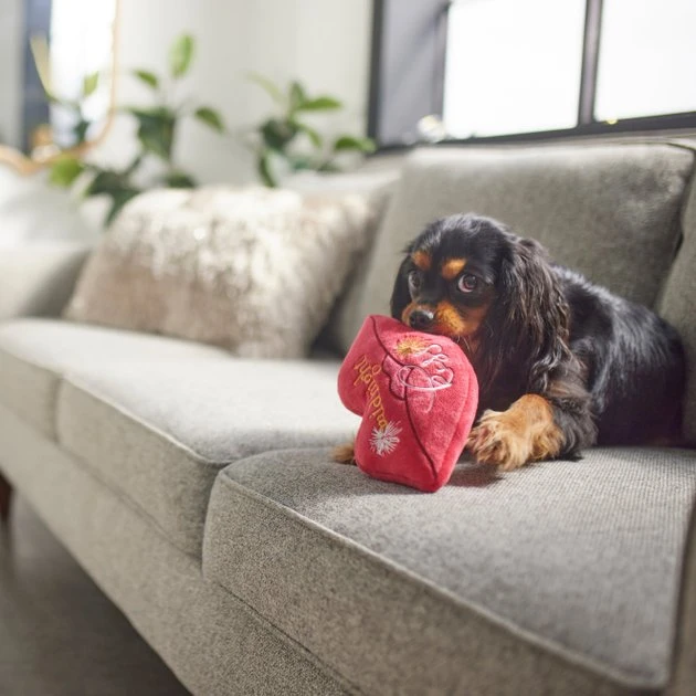 Frisco New Year's Eve Midnight Kiss Plush Squeaky Dog Toy 5 Frisco New Year's Eve Midnight Kiss Plush Squeaky Dog Toy - Image 3