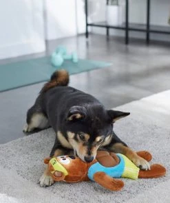 Frisco Fitness Bear Reversible Plush Squeaky Dog Toy -Frisco Sales 2024 288897 PT3. SY630 V1638291713