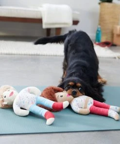 Frisco Dance Girls Plush Squeaky Dog Toy, 2 count -Frisco Sales 2024 288899 PT3. SY630 V1638288432