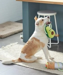 Frisco Healthy Snack Plush with Rope Dog Toy, 2 count 7 Frisco Healthy Snack Plush with Rope Dog Toy, 2 count -Frisco Sales 2024 288901 PT3. SY630 V1638291173