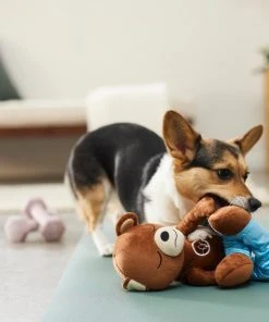 Frisco Yoga Bear Plush Squeaky Dog Toy -Frisco Sales 2024 288903 PT3. SY630 V1638288516
