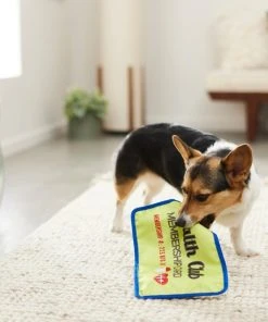 Frisco Gym Membership Card Flat Plush Squeaky Dog Toy -Frisco Sales 2024 288909 PT3. SY630 V1638288963