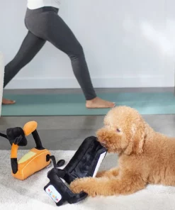 Frisco Treadmill & Bike Plush Squeaky Dog Toy, 2 count -Frisco Sales 2024 288921 PT3. SY630 V1638290517