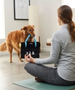 Frisco Yoga Mat Plush Squeaky Dog Toy -Frisco Sales 2024 288923 PT3. SY630 V1638290551