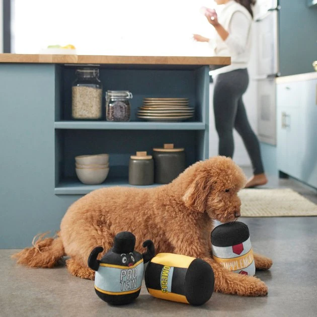 Frisco Protein Powder Plush Squeaky Dog Toy, 3 count 5 Frisco Protein Powder Plush Squeaky Dog Toy, 3 count - Image 3