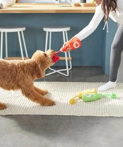 Frisco Juice Cleanse Plush Squeaky Dog Toy, 3 count -Frisco Sales 2024 288929 PT3. SY630 V1638289348