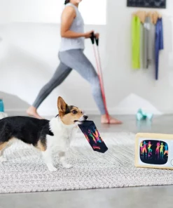 Frisco TV & VHS Tape Plush Squeaky Dog Toy, 2 count -Frisco Sales 2024 288935 PT3. SY630 V1638291435