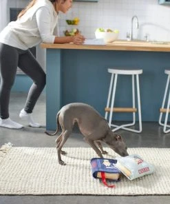 Frisco Cookbooks Plush Squeaky Dog Toy, 2 count -Frisco Sales 2024 288937 PT3. SY630 V1638287852