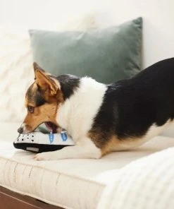 Frisco Cell Phone Plush Squeaky Dog Toy -Frisco Sales 2024 288939 PT3. SY630 V1638292274