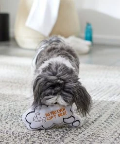 Frisco Message Bubble Plush Squeaky Dog Toy 9 Frisco Message Bubble Plush Squeaky Dog Toy -Frisco Sales 2024 288941 PT3. SY630 V1638289328