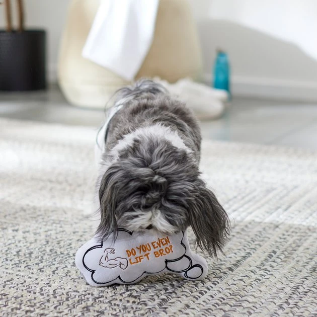 Frisco Message Bubble Plush Squeaky Dog Toy 6 Frisco Message Bubble Plush Squeaky Dog Toy - Image 4