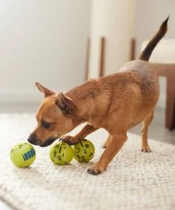 Frisco Motivational Tennis Balls Plush Squeaky Dog Toy, 3 count -Frisco Sales 2024 288943 PT3. SY630 V1638288373