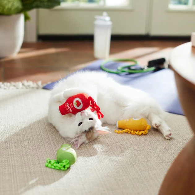 Frisco Juice Cleanse Plush Cat Toy with Catnip, 3 count 5 Frisco Juice Cleanse Plush Cat Toy with Catnip, 3 count - Image 3