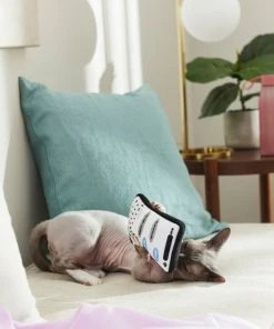 Frisco Cell Phone Plush Cat Toy with Catnip 7 Frisco Cell Phone Plush Cat Toy with Catnip -Frisco Sales 2024 288961 PT3. SY630 V1638290119