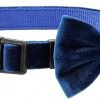 Frisco Velvet Dog Collar With Removeable Velvet Bow -Frisco Sales 2024 289734 MAIN. SY630 V1632185202