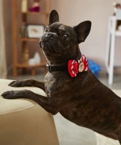 Frisco Removeable Santa & Stripes Collar Bow, XS/SM -Frisco Sales 2024 289829 PT8. SY630 V1632188889