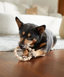 Frisco Nylon Ring Dog Chew Toy, Chicken Flavor, Medium 9 Frisco Nylon Ring Dog Chew Toy, Chicken Flavor, Medium -Frisco Sales 2024 290533 PT3. SY630 V1635369395