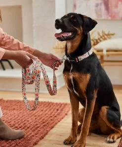 Frisco Mountain Leaves Dog Leash -Frisco Sales 2024 291251 PT3. SY630 V1629488355