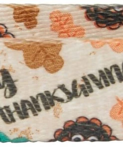 Frisco Thanksgiving Turkey Dog Collar -Frisco Sales 2024 291255 PT2. SY630 V1628009242 scaled