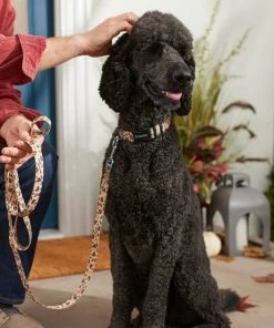 Frisco Thanksgiving Turkey Dog Leash -Frisco Sales 2024 291274 PT3. SY630 V1632337005