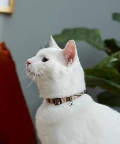 Frisco Thanksgiving Turkey Cat Collar, 8-12 Inches, 3/8-in wide -Frisco Sales 2024 291323 PT3. SY630 V1629771382