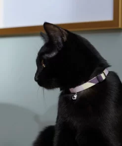 Frisco Purple Colorblock Cat Collar, 8-12 Inches, 3/8-in wide -Frisco Sales 2024 291327 PT3. SY630 V1629771214