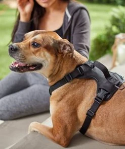 Frisco Monochromatic Dog Harness -Frisco Sales 2024 291550 PT8. SY630 V1633121185