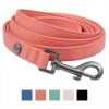 Frisco Monochromatic Dog Leash -Frisco Sales 2024 291585 MAIN. SY630 V1638456132