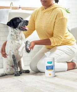 Frisco Deodorizing Paw & Bum Waterless Grooming Wipes for Dogs & Cats -Frisco Sales 2024 291593 PT4. SY630 V1627654025