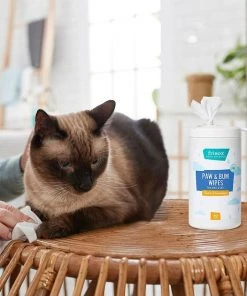 Frisco Deodorizing Paw & Bum Waterless Grooming Wipes for Dogs & Cats -Frisco Sales 2024 291593 PT5. SY630 V1627653728