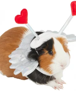 Frisco Guinea Pig Cupid Costume