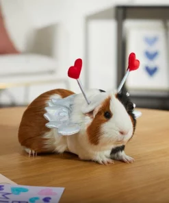 Frisco Guinea Pig Cupid Costume -Frisco Sales 2024 292198 PT8. SY630 V1637361404