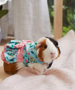Frisco Guinea Pig Floral Dress -Frisco Sales 2024 292200 PT4. SY630 V1641540431