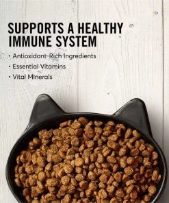 American Journey||Frisco American Journey Salmon Recipe Grain-Free Dry Food + Frisco Cat Tracks Butterfly Cat Toy -Frisco Sales 2024 292634 PT3. SY630 V1619979426