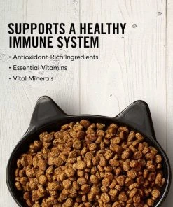 American Journey||Frisco American Journey Turkey & Chicken Recipe Grain-Free Dry Food + Frisco Cat Tracks Butterfly Cat Toy -Frisco Sales 2024 292648 PT3. SY630 V1619999228