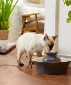 Frisco Ceramic Dog & Cat Fountain, Gray, 64-oz