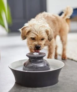 Frisco Ceramic Dog & Cat Fountain, Gray, 64-oz -Frisco Sales 2024 297218 PT4. SY630 V1633549585