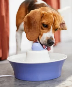 Frisco Ceramic Whale Dog & Cat Water Fountain, Blue, 64-oz -Frisco Sales 2024 297220 PT4. SY630 V1633549604